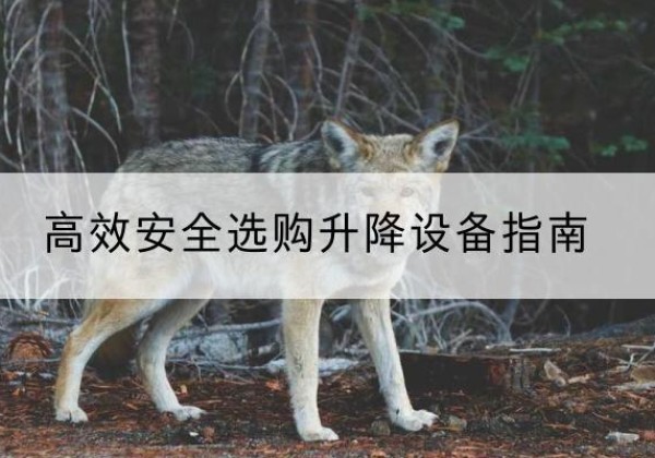 乌翠升降货梯厂家推荐-*安全选购升降设备指南