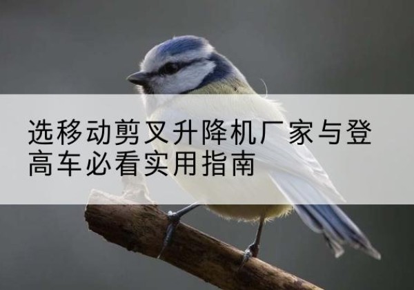 乌翠电动升降机厂家-选移动剪叉升降机厂家与登高车必看实用指南